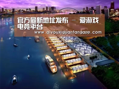 案例展示八