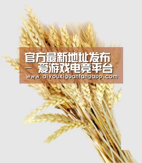 官方最新地址发布 - 爱游戏电竞平台