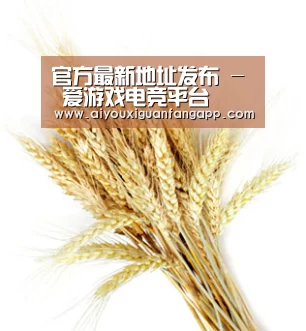 官方最新地址发布 - 爱游戏电竞平台