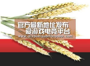 官方最新地址发布 - 爱游戏电竞平台