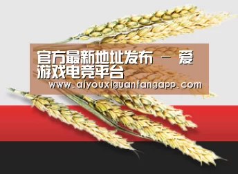 官方最新地址发布 - 爱游戏电竞平台